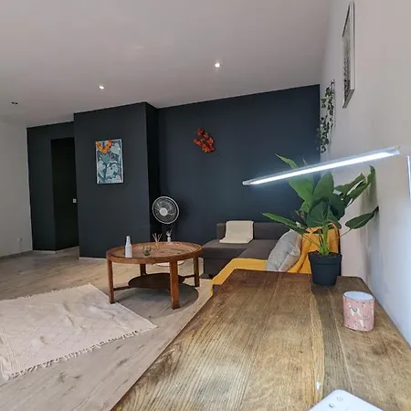 Cosy Forest - 2 Ch - Centre -parking Privatif - Wifi Apartment Pau